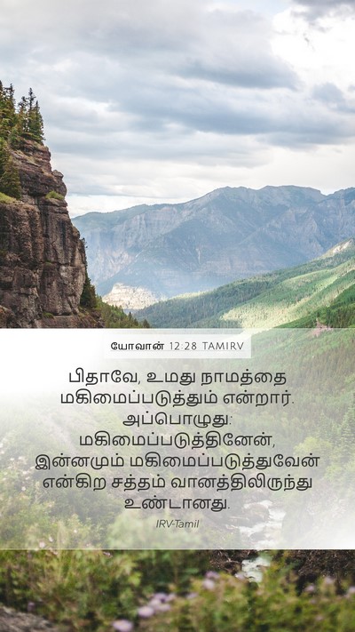 யோவான் 12:28 TAMIRV Bible Verse Image