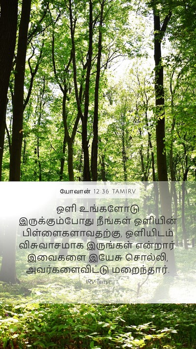யோவான் 12:36 TAMIRV Bible Verse Image