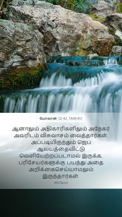 யோவான் 12:42 TAMIRV Bible Verse Image