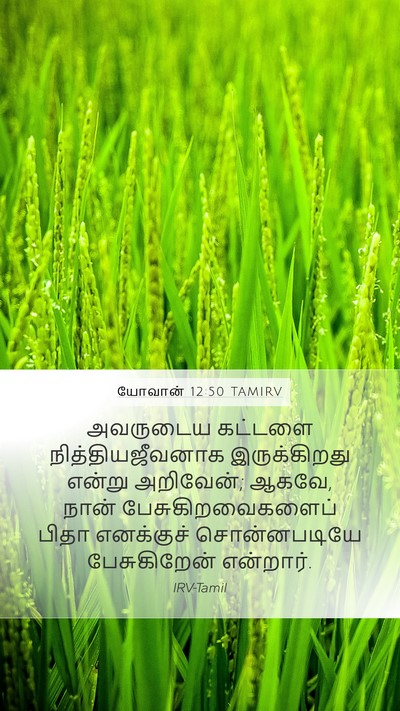 யோவான் 12:50 TAMIRV Bible Verse Image