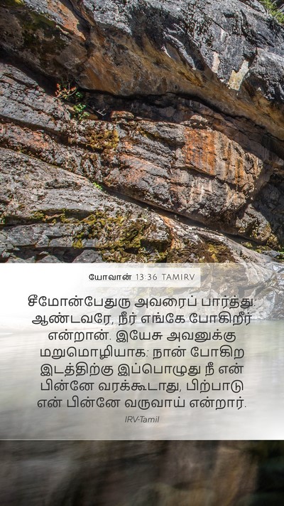 யோவான் 13:36 TAMIRV Bible Verse Image