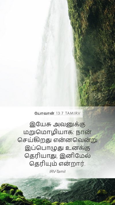 யோவான் 13:7 TAMIRV Bible Verse Image