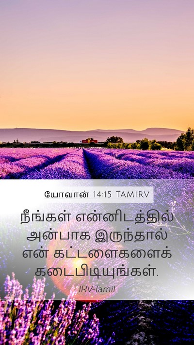 யோவான் 14:15 TAMIRV Bible Verse Image