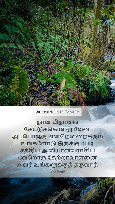 யோவான் 14:16 TAMIRV Bible Verse Image