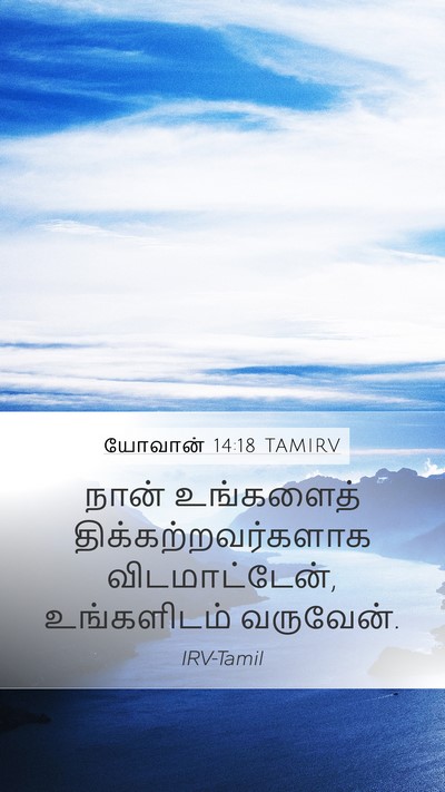 யோவான் 14:18 TAMIRV Bible Verse Image