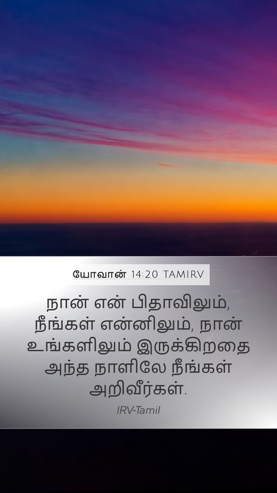யோவான் 14:20 TAMIRV Bible Verse Image