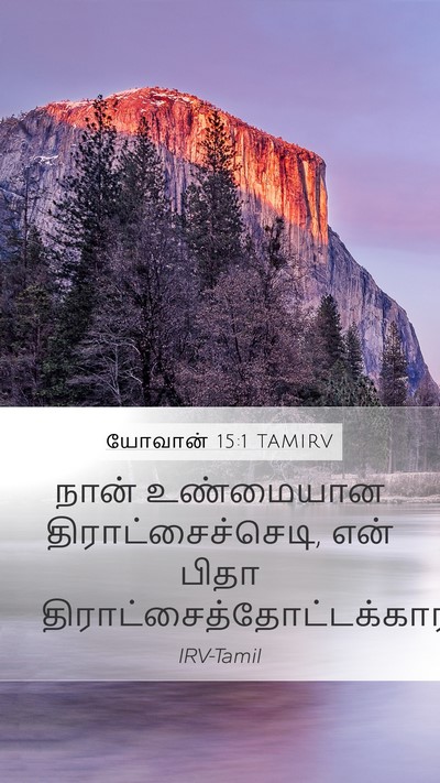 யோவான் 15:1 TAMIRV Bible Verse Image
