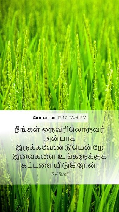 யோவான் 15:17 TAMIRV Bible Verse Image