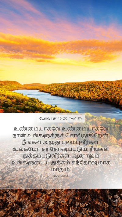 யோவான் 16:20 TAMIRV Bible Verse Image