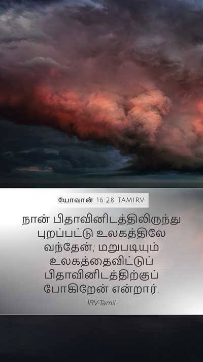 யோவான் 16:28 TAMIRV Bible Verse Image