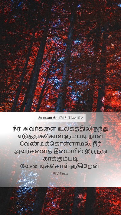 யோவான் 17:15 TAMIRV Bible Verse Image