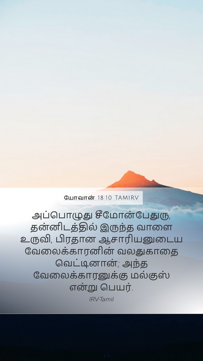 யோவான் 18:10 TAMIRV Bible Verse Image