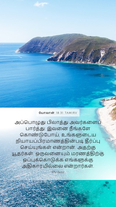 யோவான் 18:31 TAMIRV Bible Verse Image