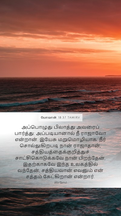 யோவான் 18:37 TAMIRV Bible Verse Image