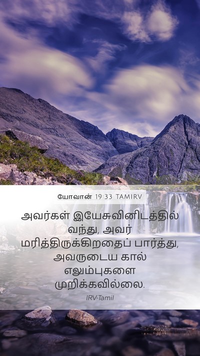 யோவான் 19:33 TAMIRV Bible Verse Image