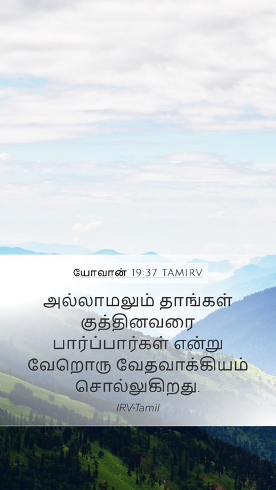 யோவான் 19:37 TAMIRV Bible Verse Image