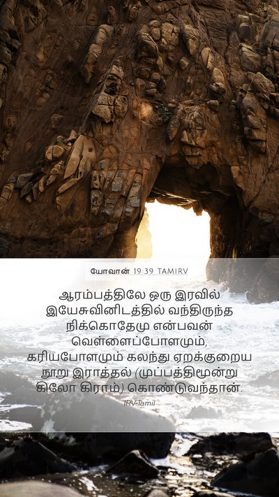 யோவான் 19:39 TAMIRV Bible Verse Image