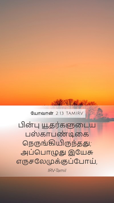 யோவான் 2:13 TAMIRV Bible Verse Image