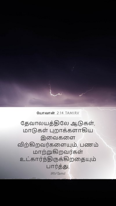 யோவான் 2:14 TAMIRV Mobile Phone Wallpaper - தேவாலயத்திலே - Mobile Bible Verse Wallpaper