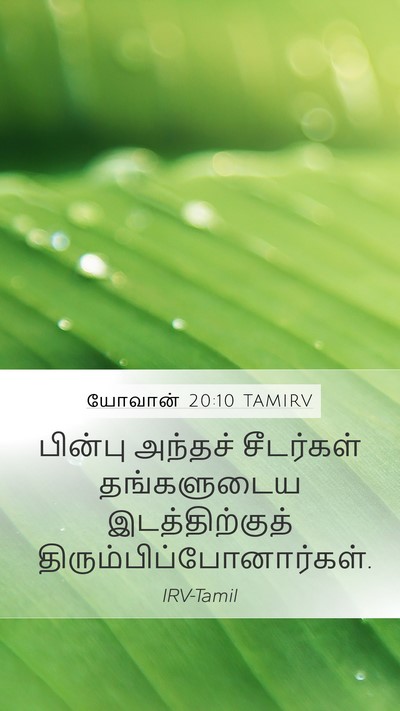 யோவான் 20:10 TAMIRV Mobile Phone Wallpaper - பின்பு அந்தச் - Mobile Bible Verse Wallpaper