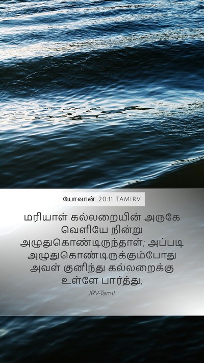 யோவான் 20:11 TAMIRV Bible Verse Image