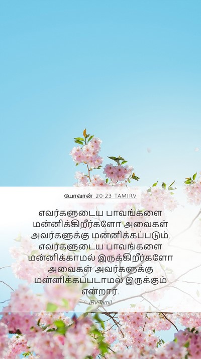 யோவான் 20:23 TAMIRV Bible Verse Image