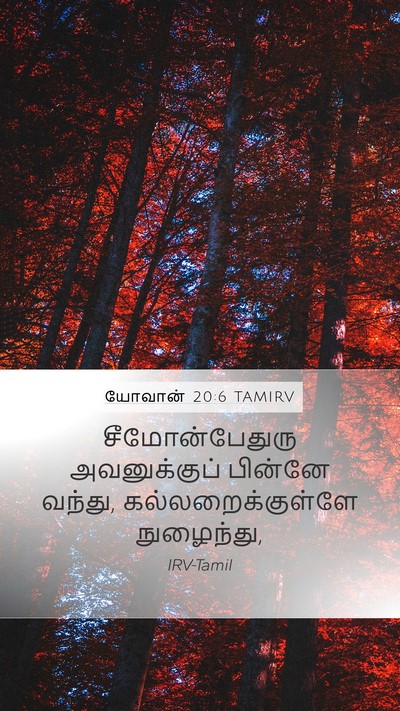 யோவான் 20:6 TAMIRV Mobile Phone Wallpaper - சீமோன்பேதுரு - Mobile Bible Verse Wallpaper