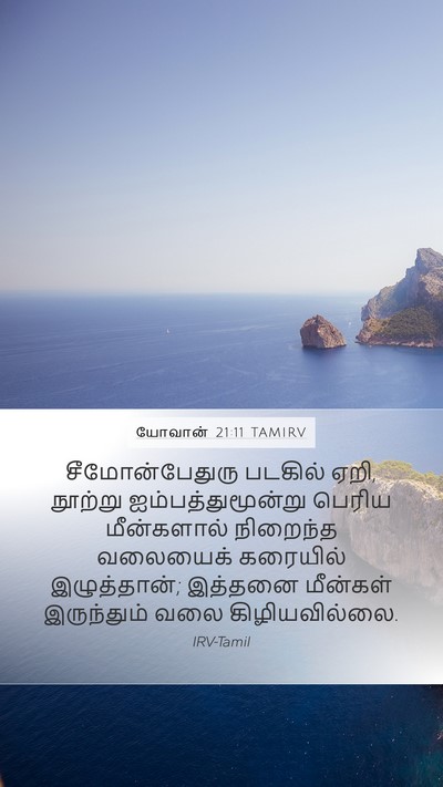 யோவான் 21:11 TAMIRV Mobile Phone Wallpaper - சீமோன்பேதுரு - Mobile Bible Verse Wallpaper