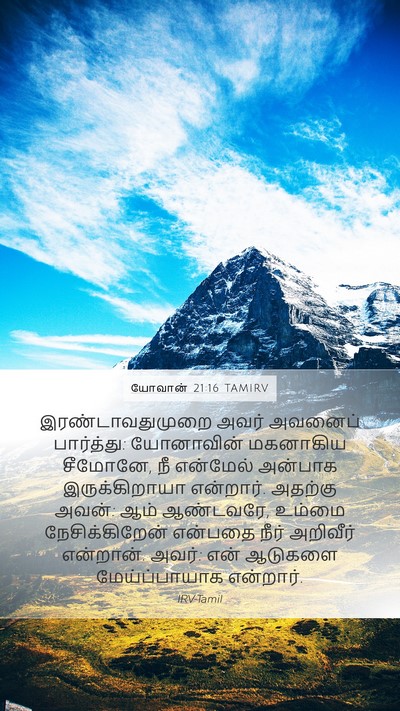 யோவான் 21:16 TAMIRV Mobile Phone Wallpaper - இரண்டாவதுமுறை - Mobile Bible Verse Wallpaper