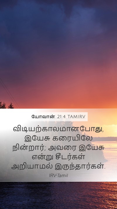 யோவான் 21:4 TAMIRV Bible Verse Image