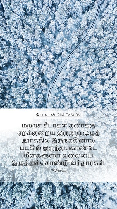 யோவான் 21:8 TAMIRV Mobile Phone Wallpaper - மற்றச் சீடர்கள் - Mobile Bible Verse Wallpaper