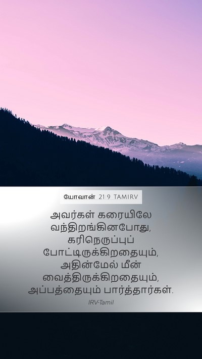 யோவான் 21:9 TAMIRV Bible Verse Image