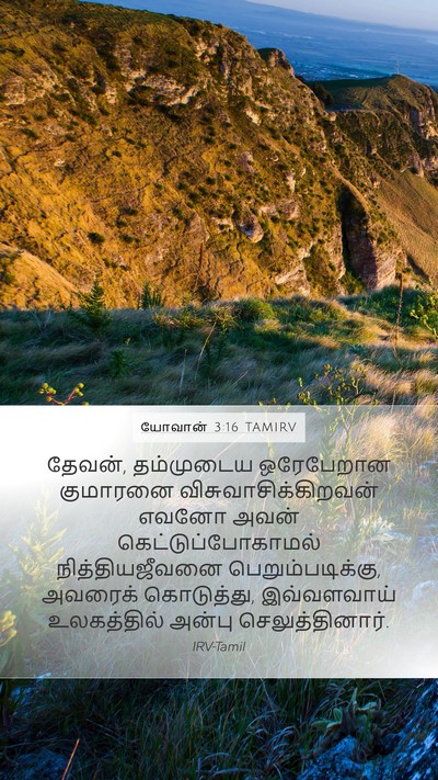 யோவான் 3:16 TAMIRV Bible Verse Image