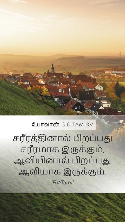 யோவான் 3:6 TAMIRV Bible Verse Image
