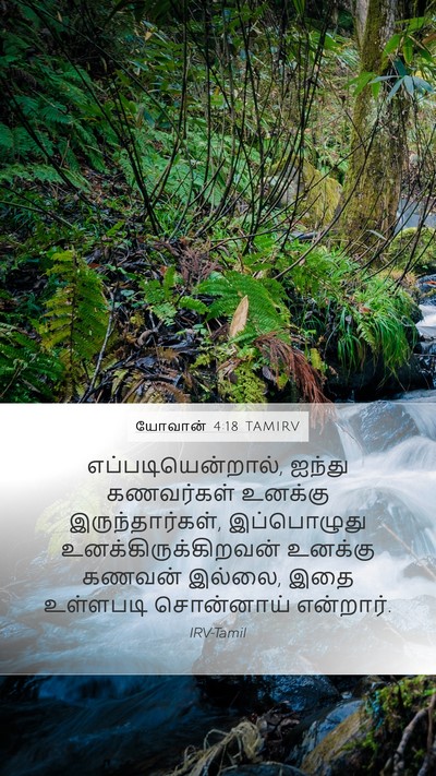 யோவான் 4:18 TAMIRV Mobile Phone Wallpaper - எப்படியென்றால், - Mobile Bible Verse Wallpaper
