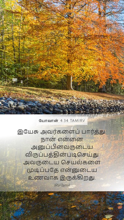 யோவான் 4:34 TAMIRV Bible Verse Image