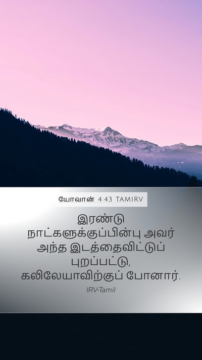 யோவான் 4:43 TAMIRV Bible Verse Image