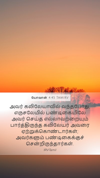 யோவான் 4:45 TAMIRV Mobile Phone Wallpaper - அவர் கலிலேயாவில் - Mobile Bible Verse Wallpaper