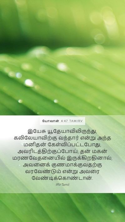 யோவான் 4:47 TAMIRV Bible Verse Image