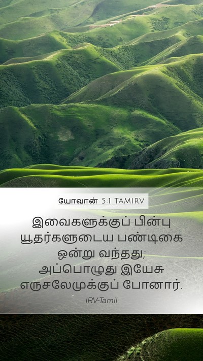 யோவான் 5:1 TAMIRV Mobile Phone Wallpaper - இவைகளுக்குப் - Mobile Bible Verse Wallpaper