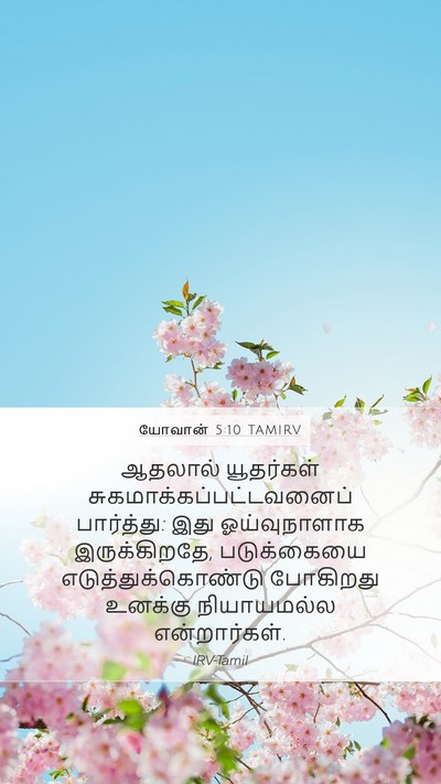 யோவான் 5:10 TAMIRV Bible Verse Image