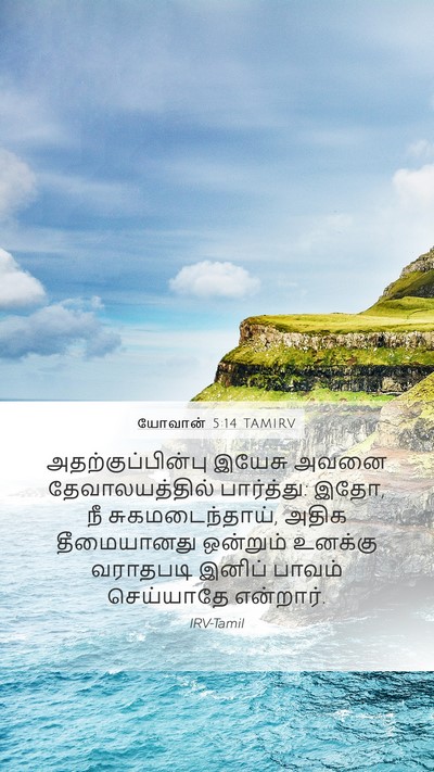 யோவான் 5:14 TAMIRV Bible Verse Image