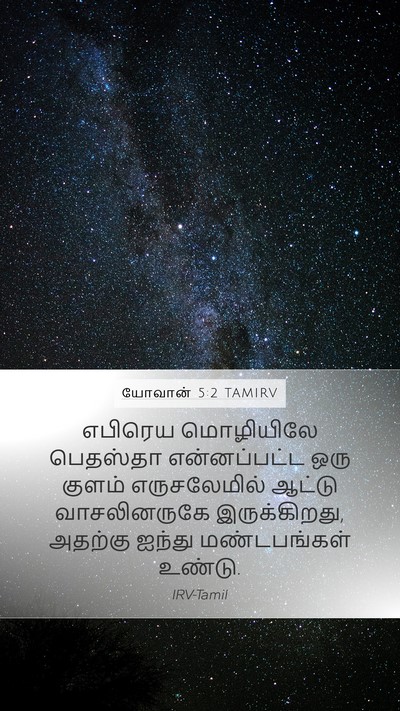யோவான் 5:2 TAMIRV Bible Verse Image