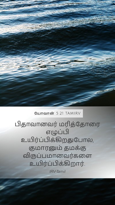 யோவான் 5:21 TAMIRV Bible Verse Image