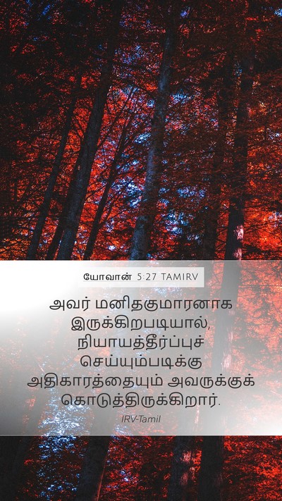 யோவான் 5:27 TAMIRV Bible Verse Image