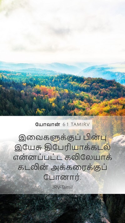 யோவான் 6:1 TAMIRV Bible Verse Image