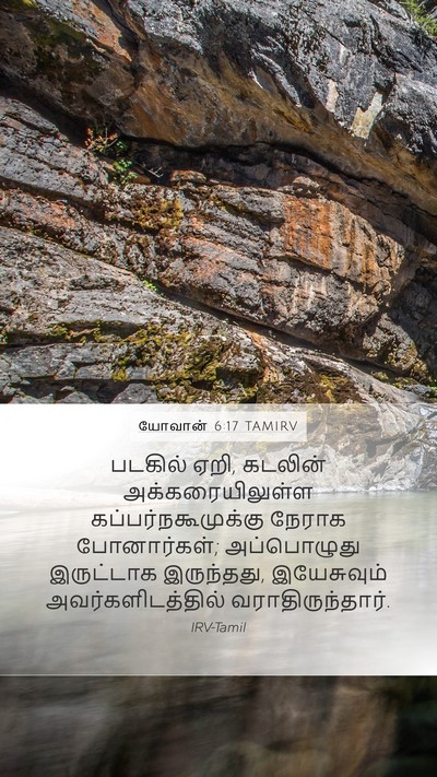 யோவான் 6:17 TAMIRV Bible Verse Image