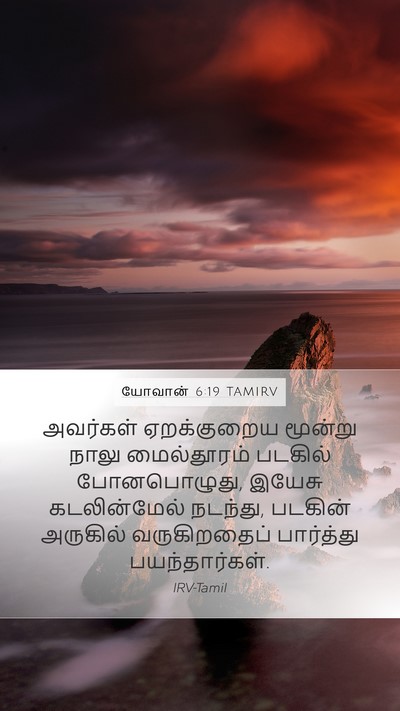 யோவான் 6:19 TAMIRV Bible Verse Image