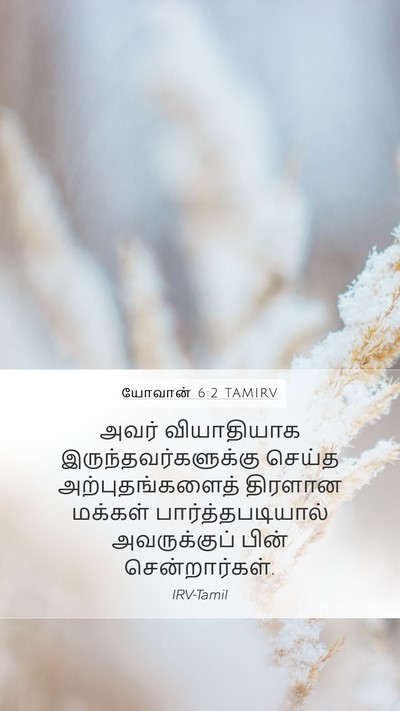 யோவான் 6:2 TAMIRV Bible Verse Image