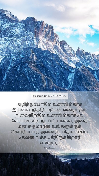 யோவான் 6:27 TAMIRV Bible Verse Image